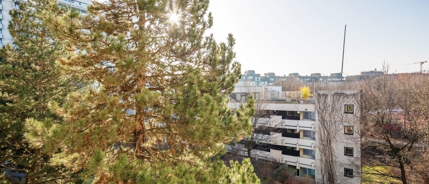 Flat München Haidhausen 01 Utsikt 12031