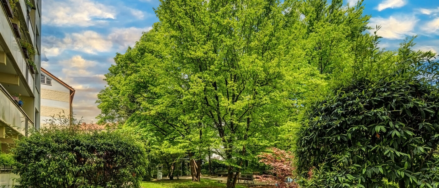 Lapos München Neuhausen 03 A  megtekintése 12163