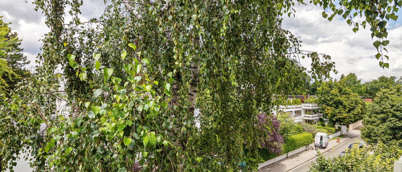 Düz München Herzogpark 03 Görünüm 12265