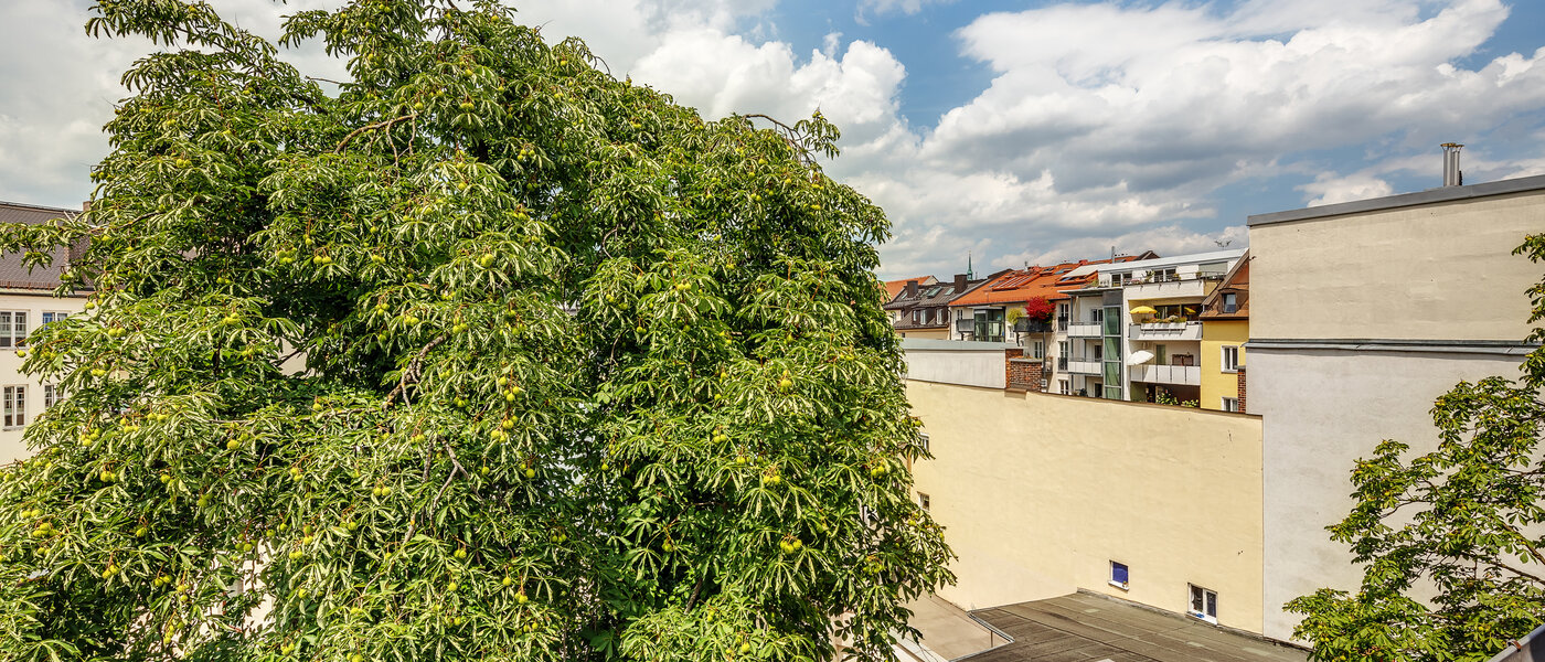 Düz München Gärtnerplatzviertel 02 Görünüm 12286