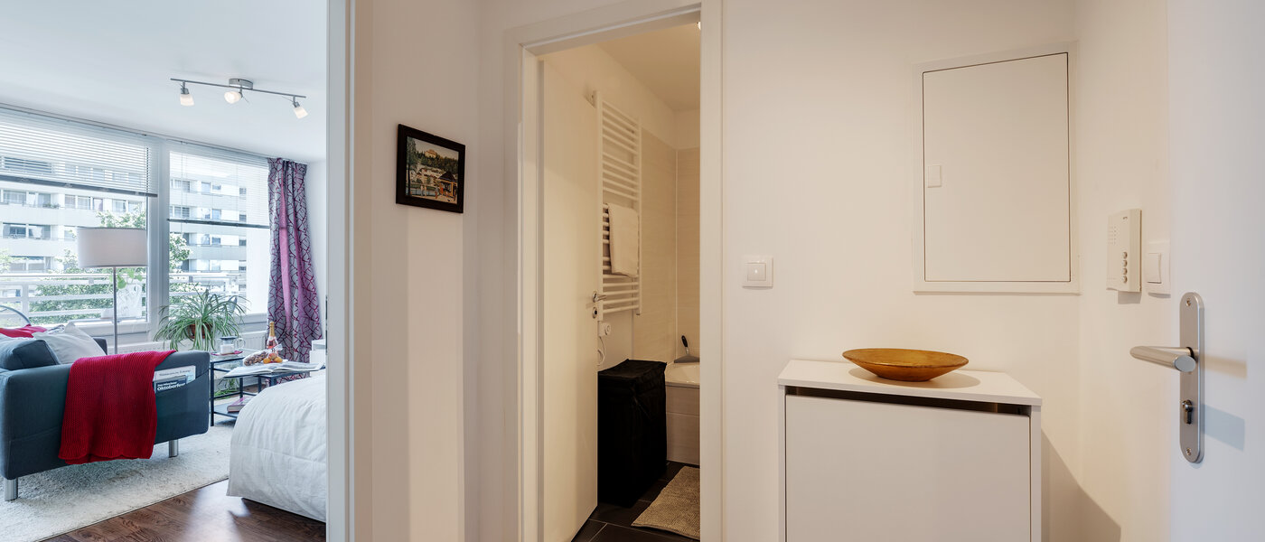 Επίπεδη Oberschleißheim 02 Διάδρομος/διάδρομος 12289