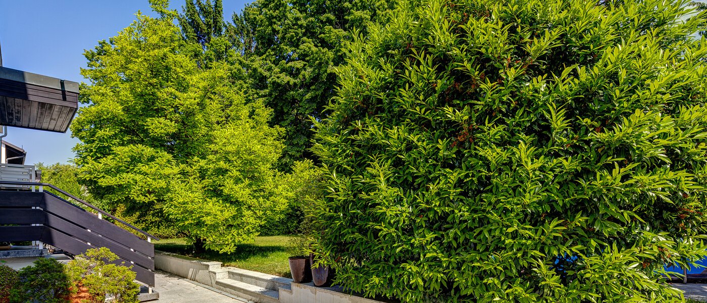 Mezonetno stanovanje München Cosimapark 06 Skupnost 12301