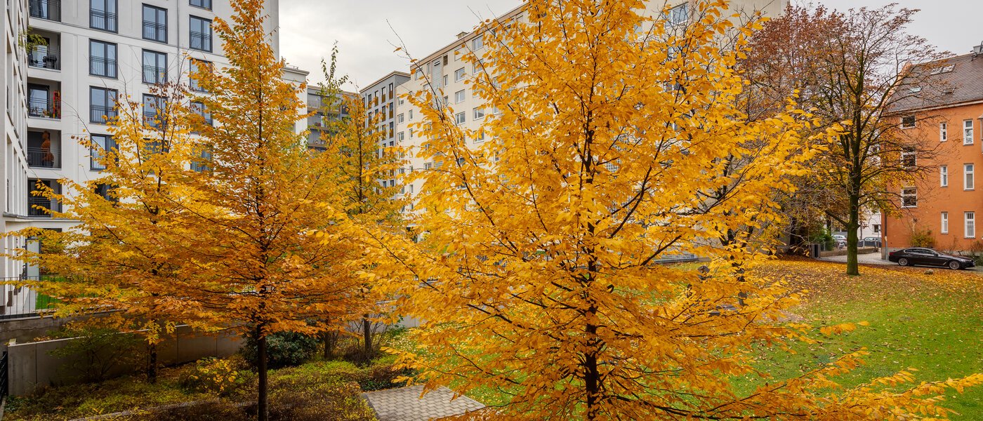 Ravna stran München Bogenhausen 01 Oglejte si 12389