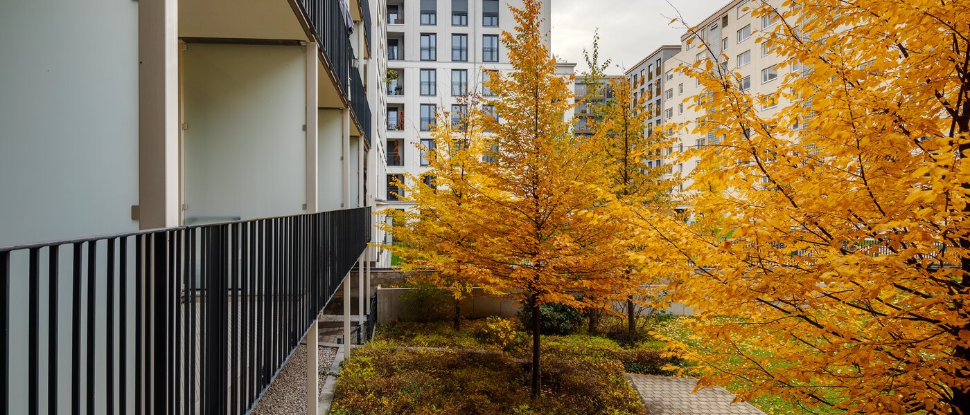 Ravna stran München Bogenhausen 02 Oglejte si 12389