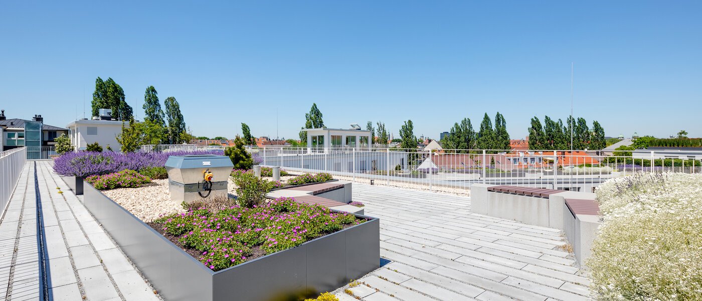 Ravna stran München Au 03 Skupnost 12459