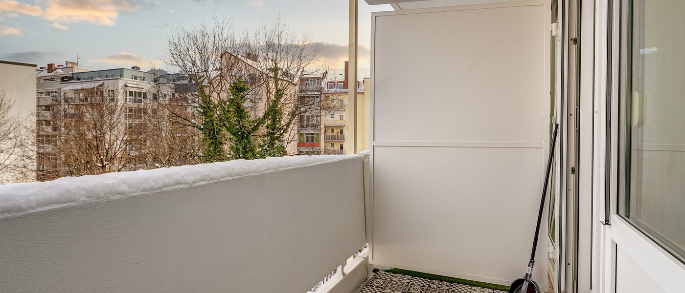 Flat München Isarvorstadt 02 Balkong 12468