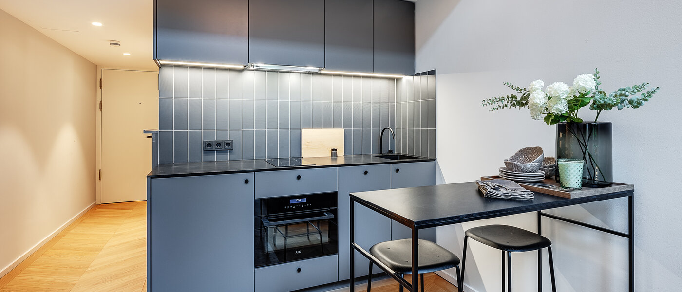 메조넷 갤러리 플랫 München Herzogpark 01 주방 12618