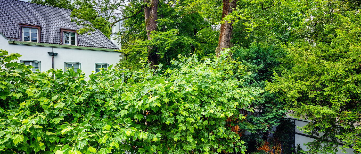 Lapos München Herzogpark 01 A  megtekintése 12619