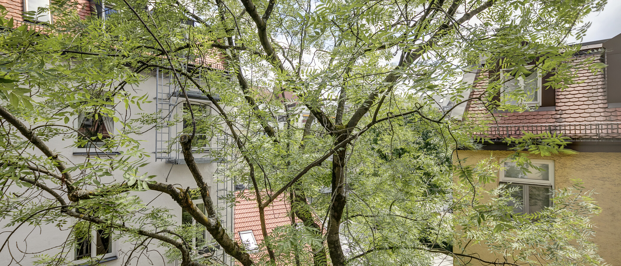 Ploché München Schwabing (links der Leopoldstraße) 01 Zobrazit 1262