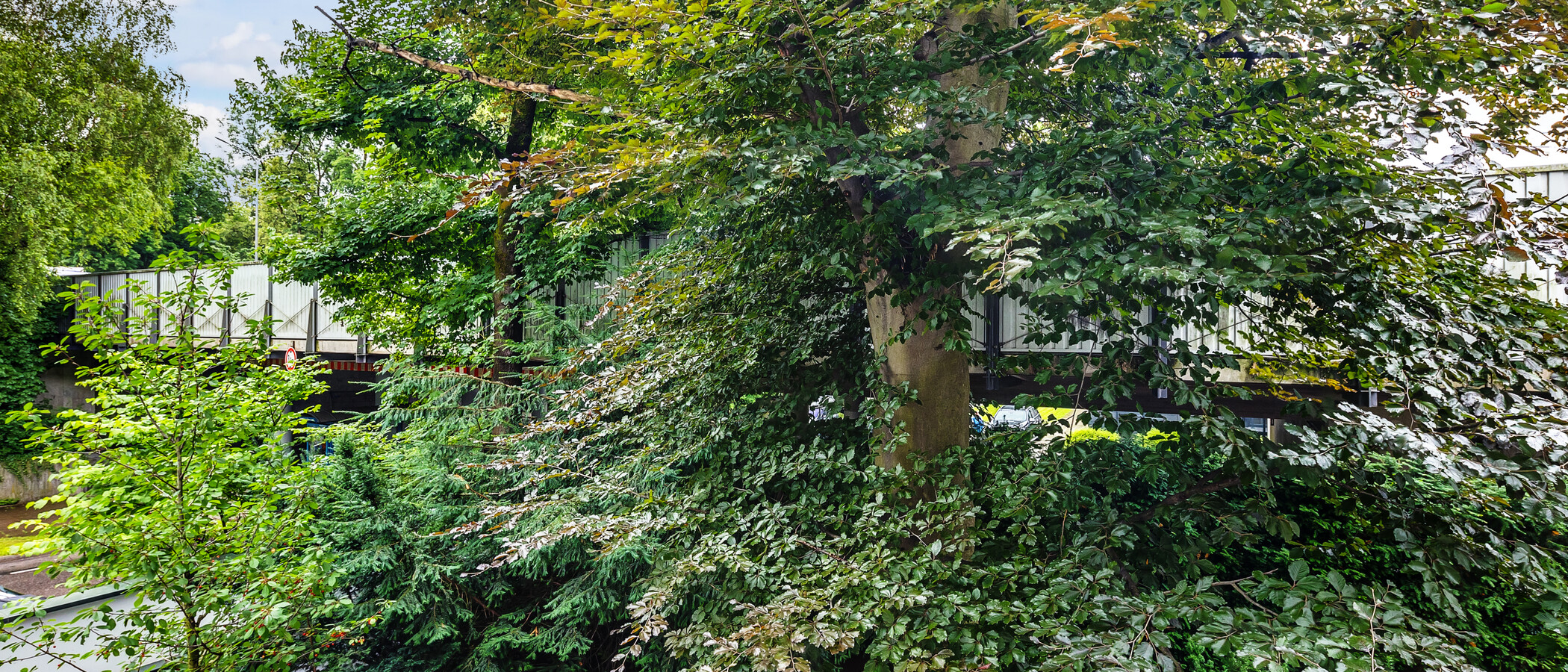 Flad München Herzogpark 04 Udsigt 12628