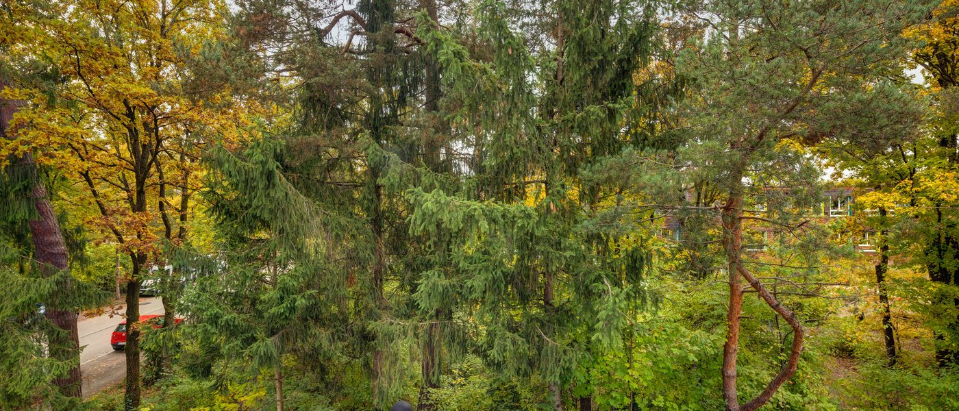 Плоский Ottobrunn 03 Вигляд 12770