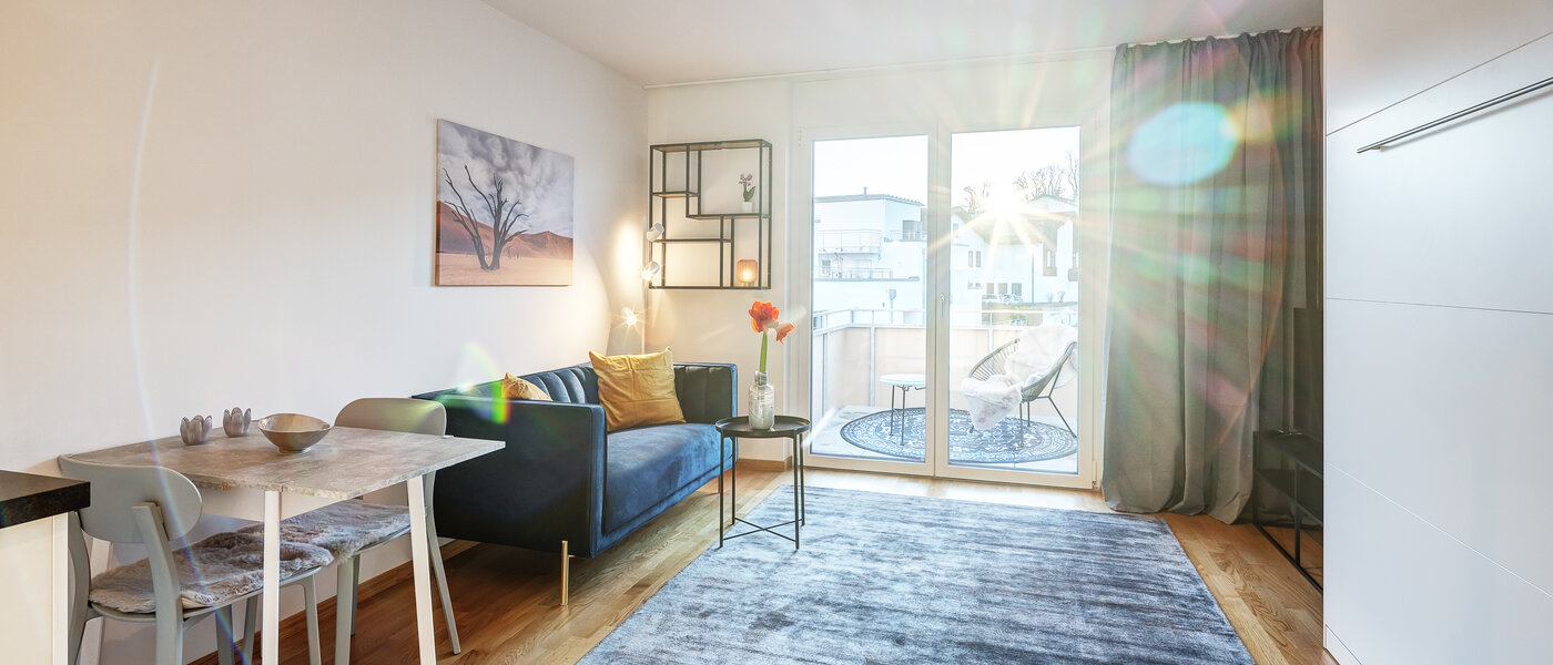 Plat Traunstein 01 Zona de zi 12847