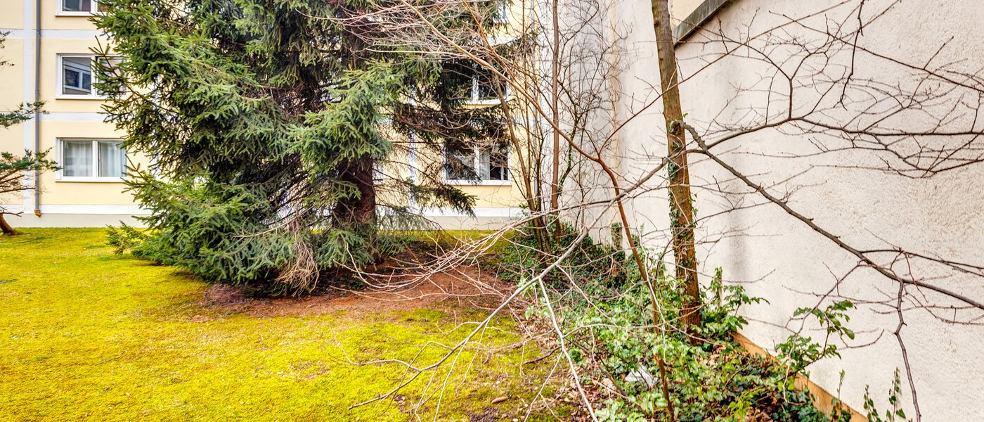 Flad München Maxvorstadt - Universitätsviertel 02 Udsigt 12898