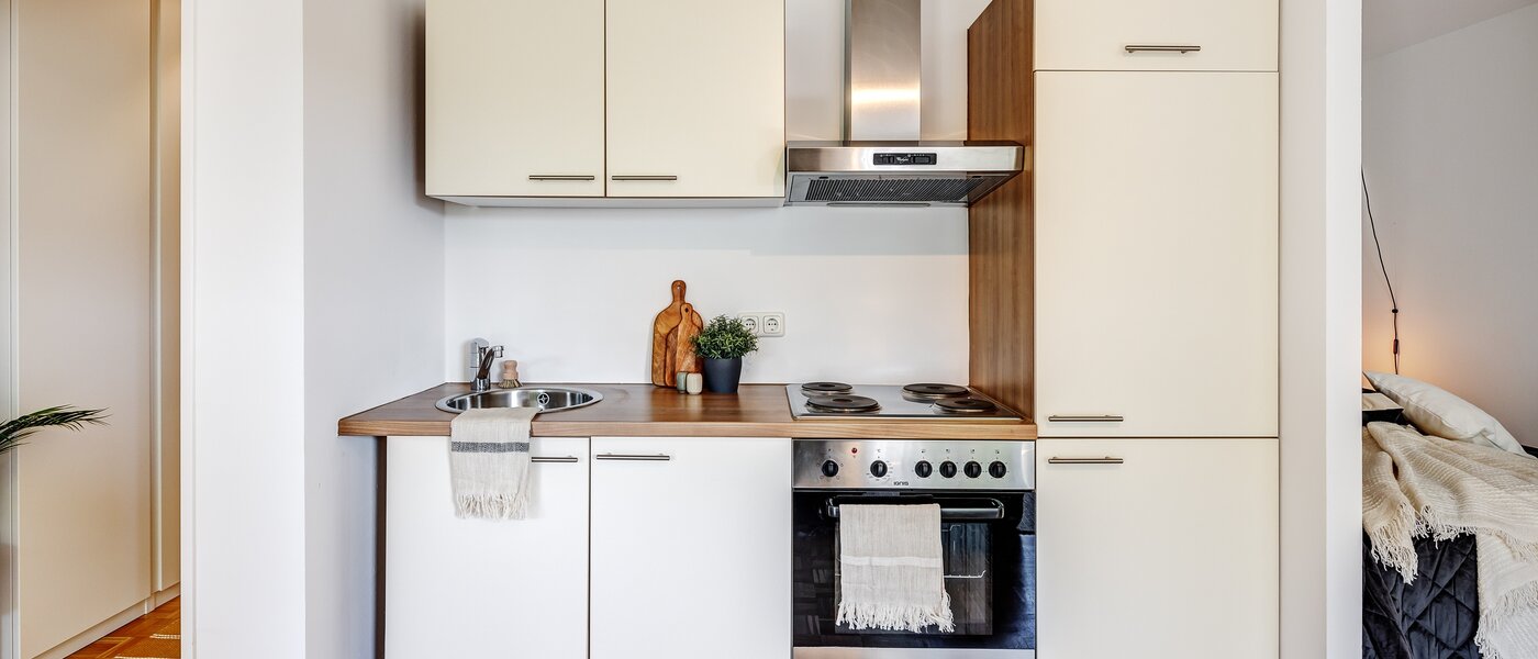 Επίπεδη München Parkstadt Schwabing 01 Κουζίνα 13011