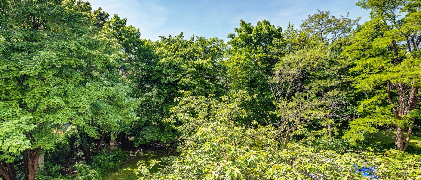 Επίπεδη München Parkstadt Schwabing 02 Προβολή 13011