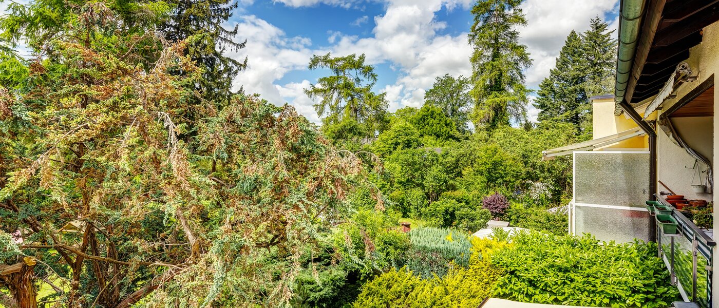 Plat München Berg am Laim 03 Bekijk 13039