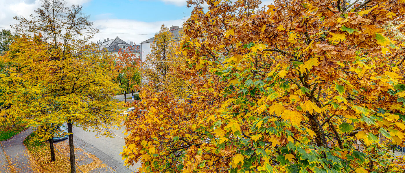 Plano München Thalkirchen 01 Ver 13192