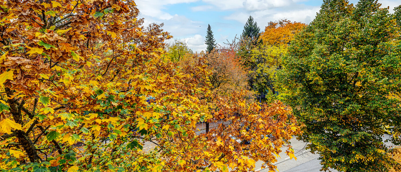 Plano München Thalkirchen 04 Ver 13192