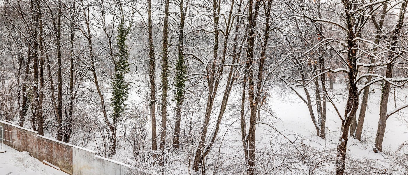 Mansardă plată München Giesing 01 Vizualizare 13269