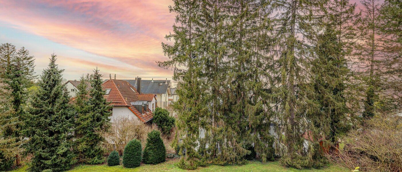 Tagterrasse-lejlighed München Moosach 01 Udsigt 13292