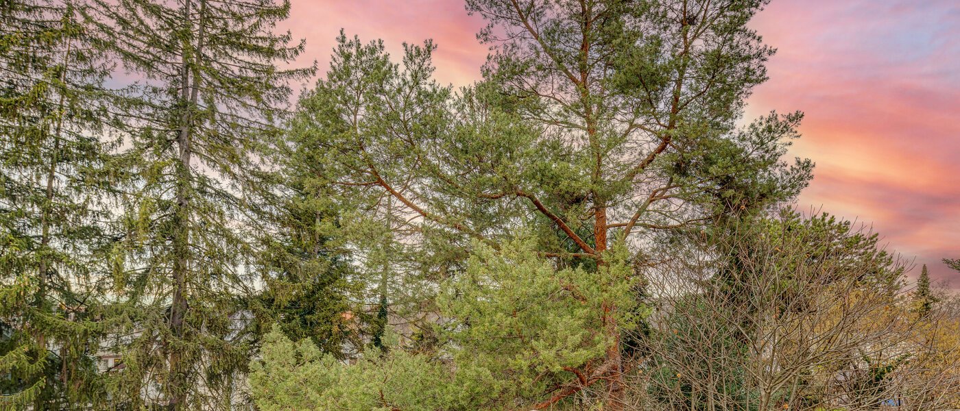 Tagterrasse-lejlighed München Moosach 03 Udsigt 13292