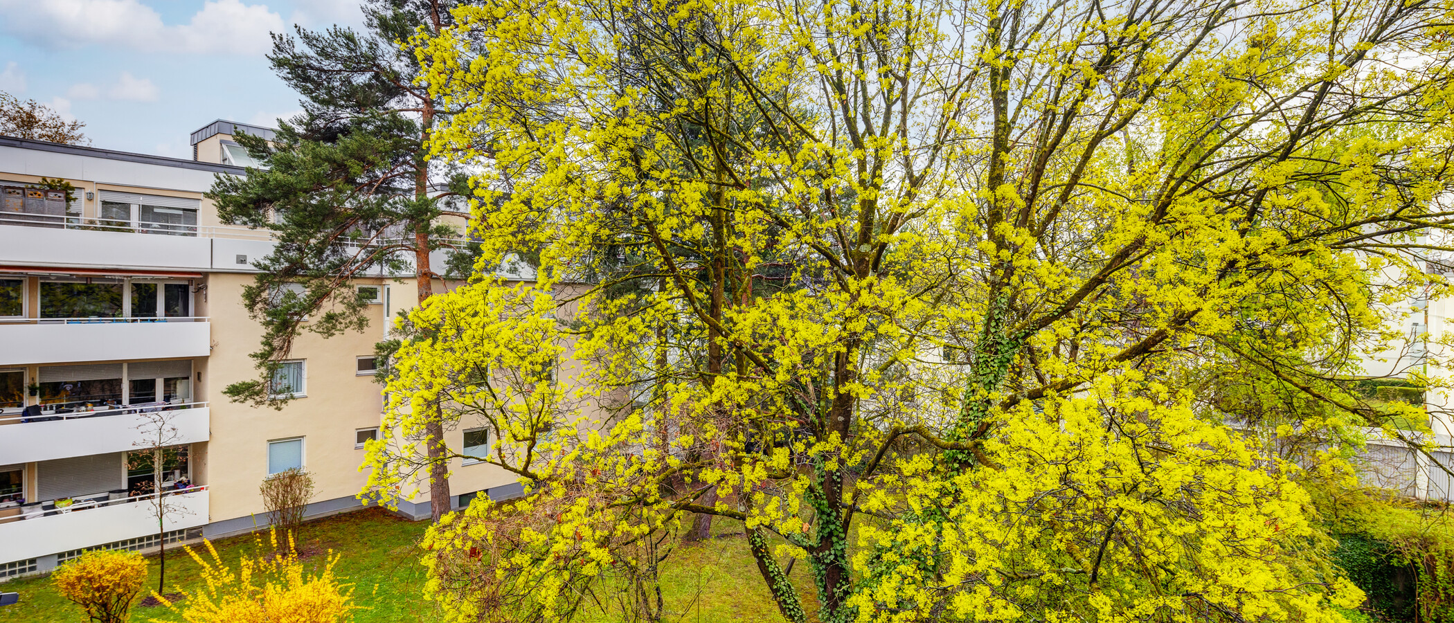 Düz München Nymphenburg 01 Görünüm 13438