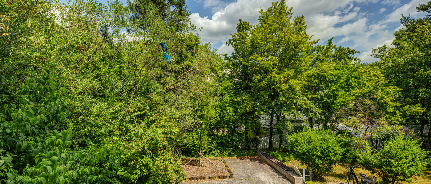 Düz München Untermenzing 01 Görünüm 13539