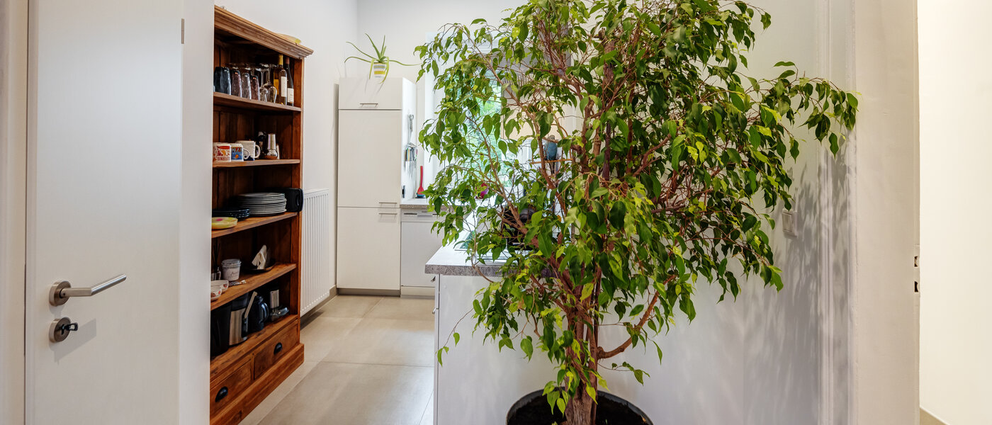 Flad München Mittersendling 03 Korridor/gang 13595