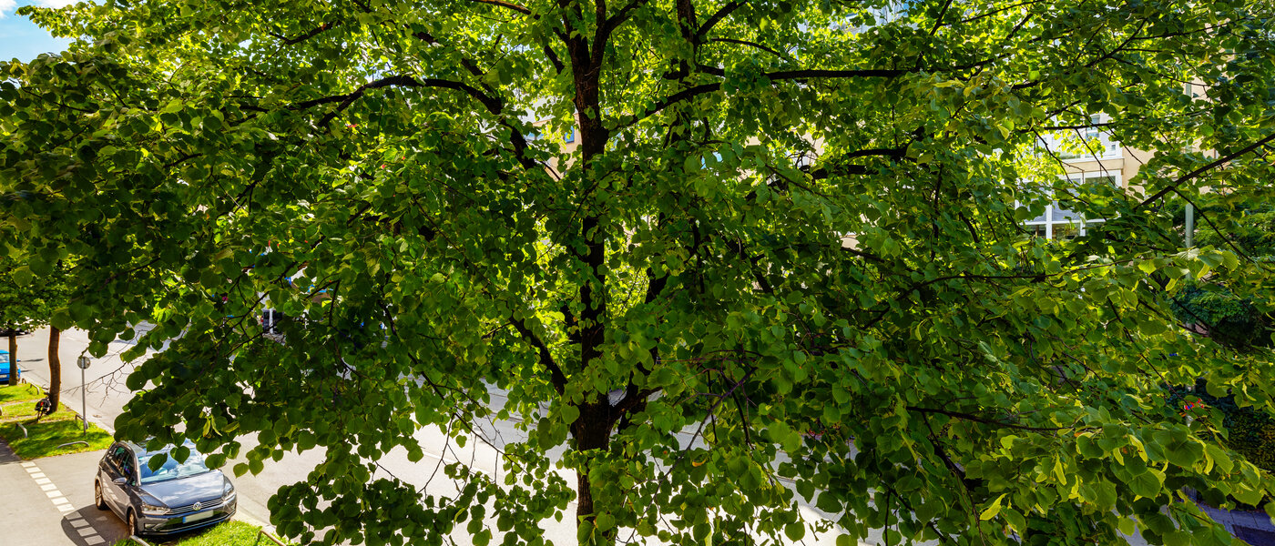 Platt München Milbertshofen 02 Utsikt 13602