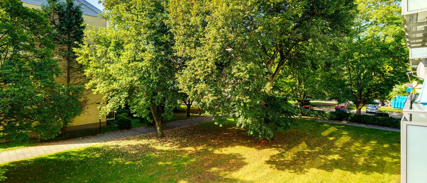 Lapos München Forstenried 02 A  megtekintése 13628