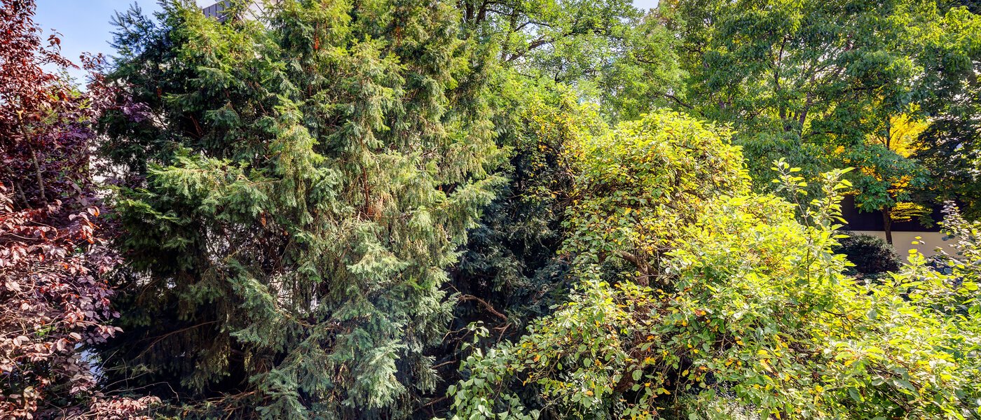 Düz München Altbogenhausen 04 Görünüm 13633