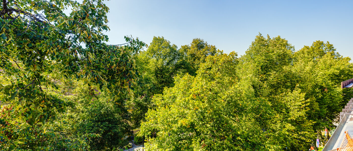 Lägenhet med takterrass München Ramersdorf 04 Utsikt 13657