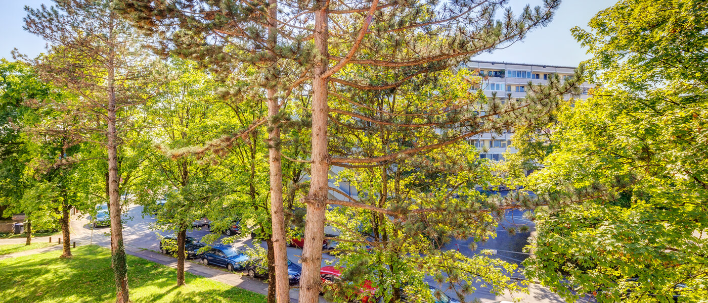 Lapos Unterschleißheim 01 A  megtekintése 13659