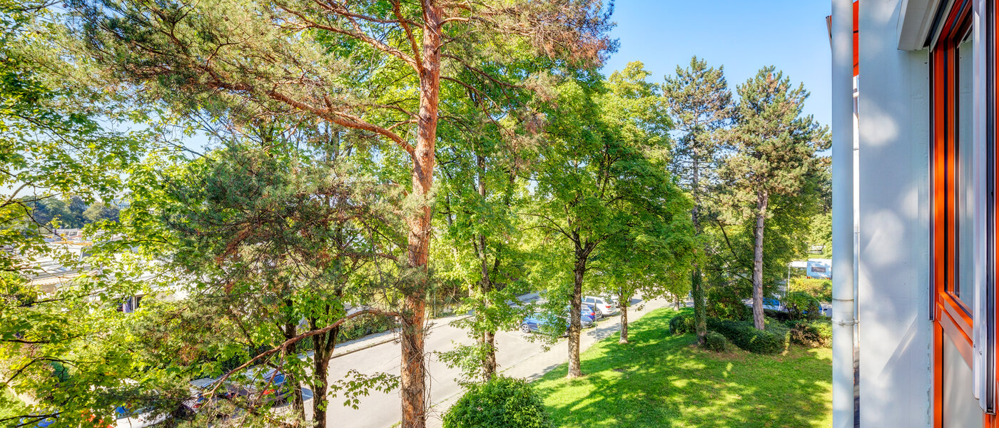 Lapos Unterschleißheim 02 A  megtekintése 13659