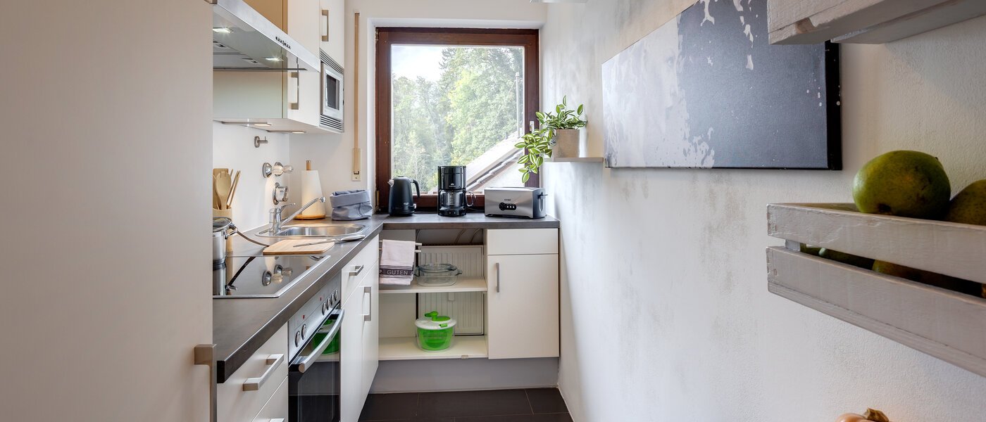 Apartamento no sótão Eching 01 Cozinha 13716