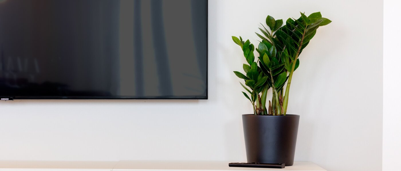 Lapos München Haidhausen 04 Nappali 13881