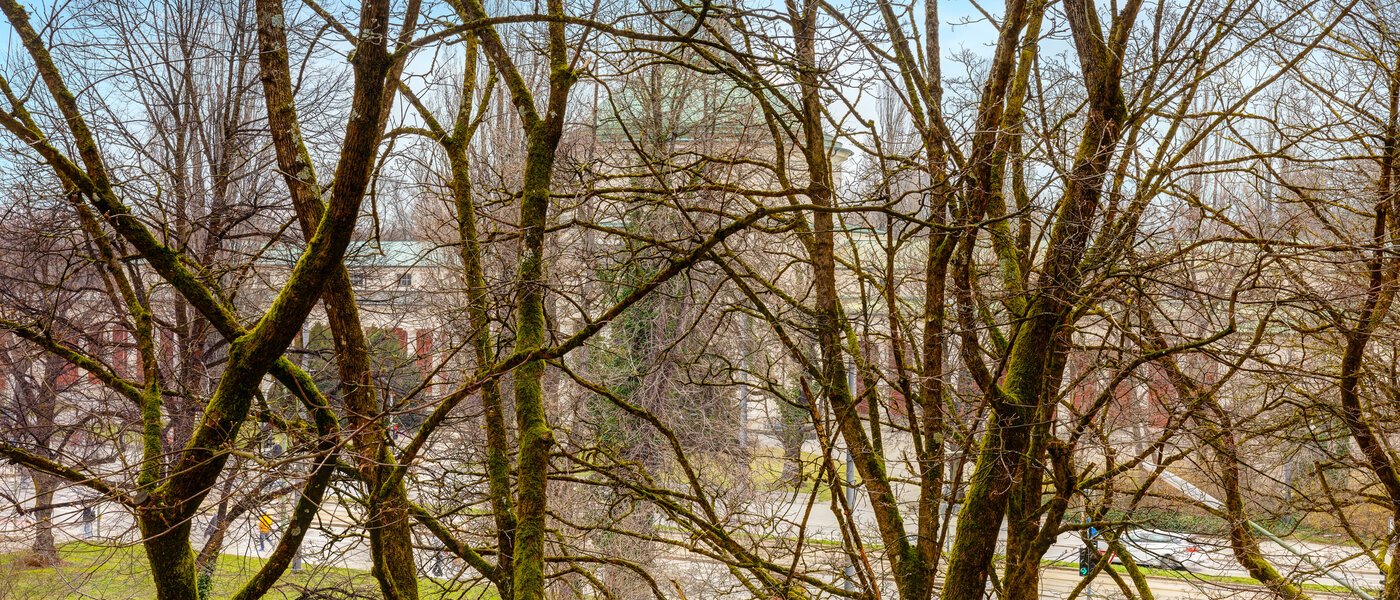 Flad München Obergiesing 03 Udsigt 13886