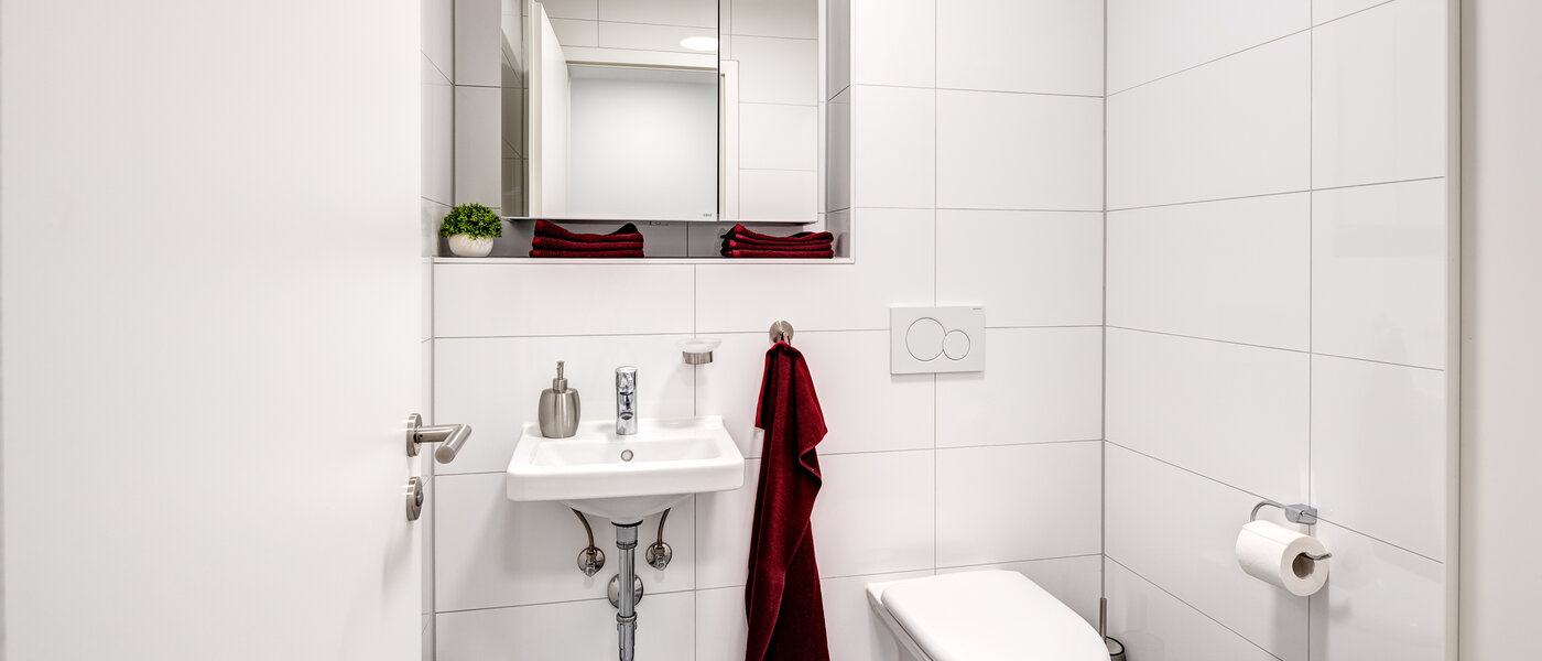 Flat Herrsching am Ammersee 01 Gjestetoalett 13942