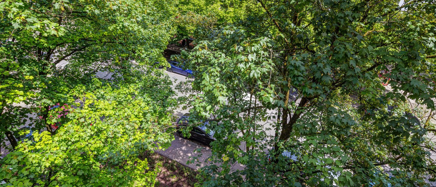 Плосък München Lehel 02 Вижте 13986