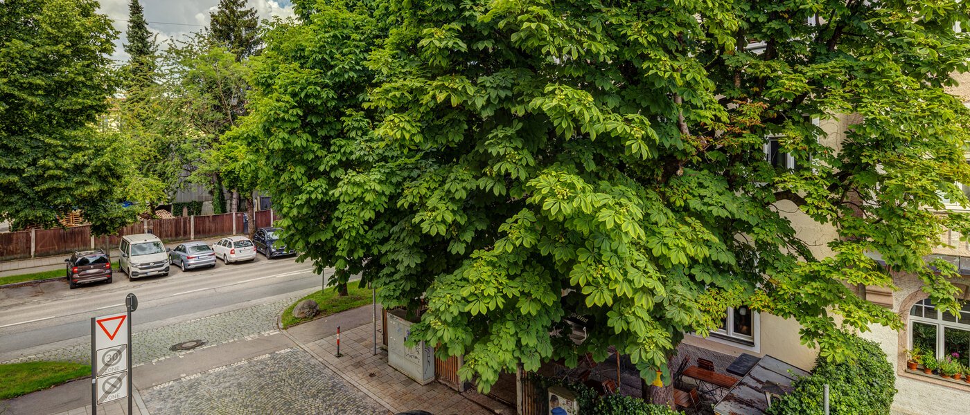 Ploché München Thalkirchen 02 Zobrazit 14008