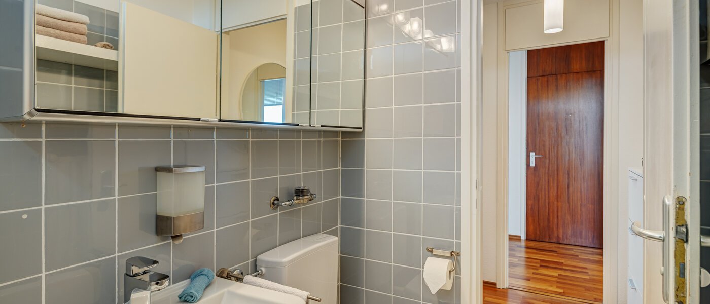 Düz München Parkstadt Solln 02 Banyo 14205