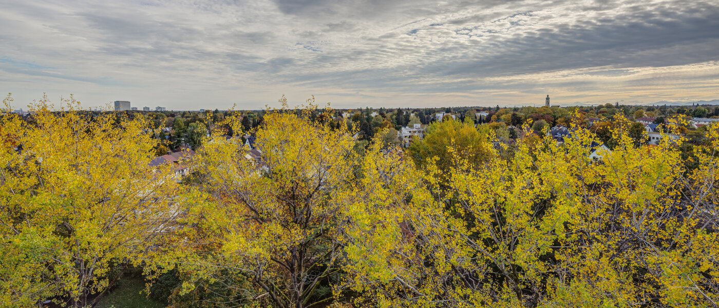 Düz München Parkstadt Solln 02 Görünüm 14205