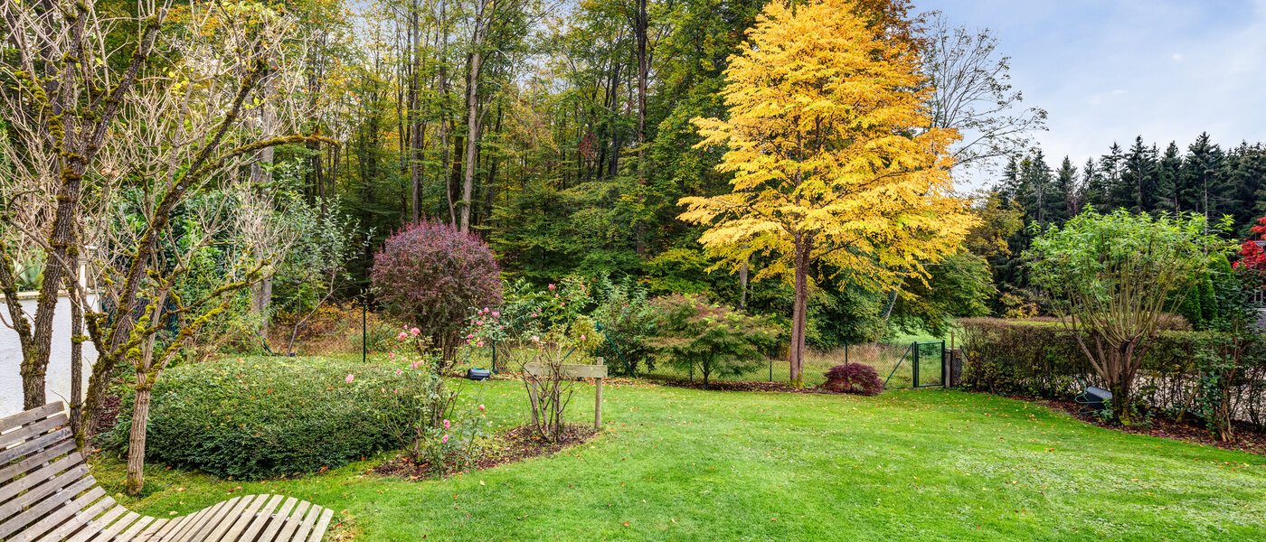 Σπίτι Berg am Starnberger See 03 Κήπος 14208