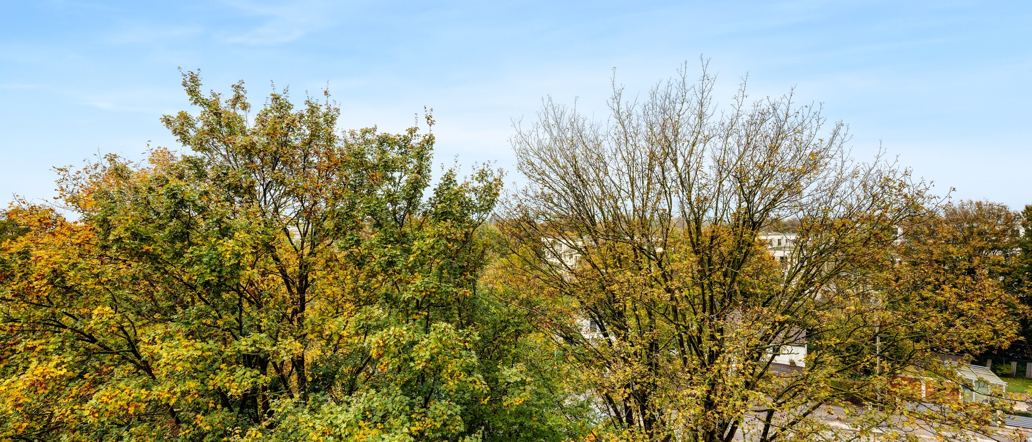 Plat München Aubing 03 Vizualizare 14209