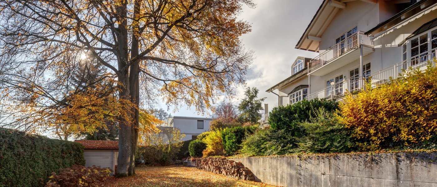 Плоский Starnberg 02 Громадський сад 14249