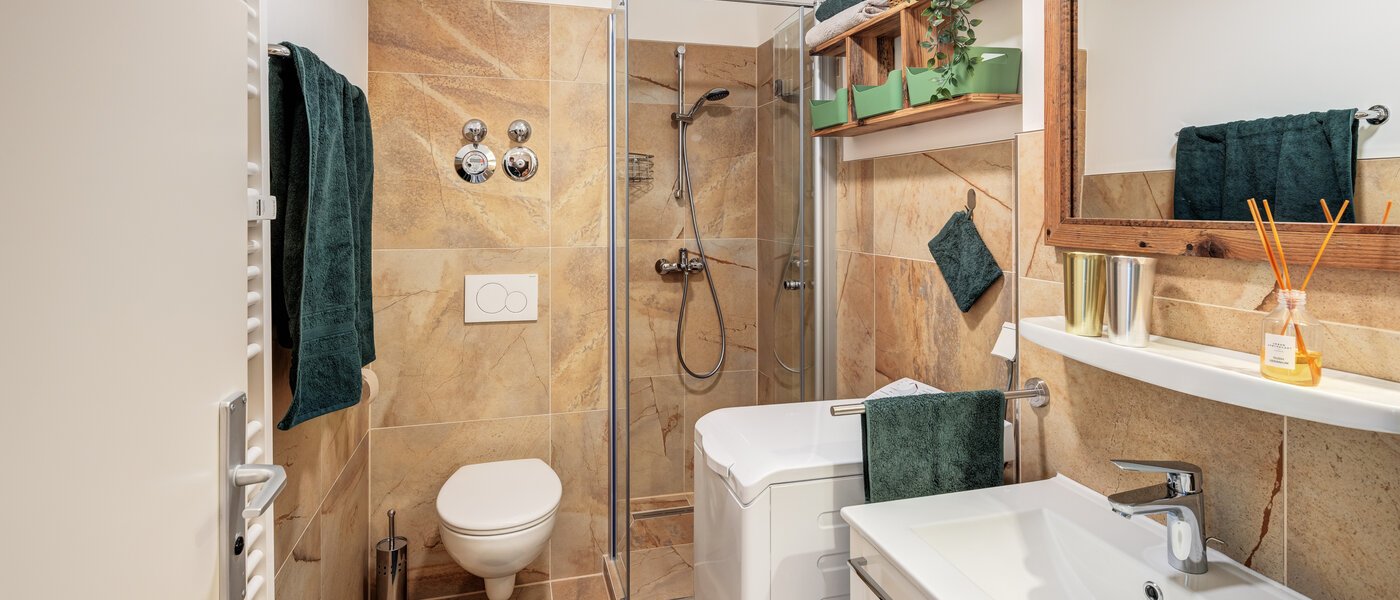 Ravna stran München Pasing 01 Kopalnica 14263