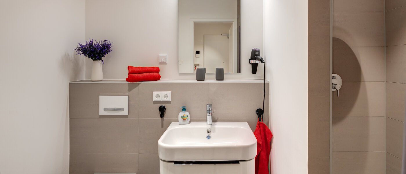 Плосък München Harlaching 01 Баня 14313