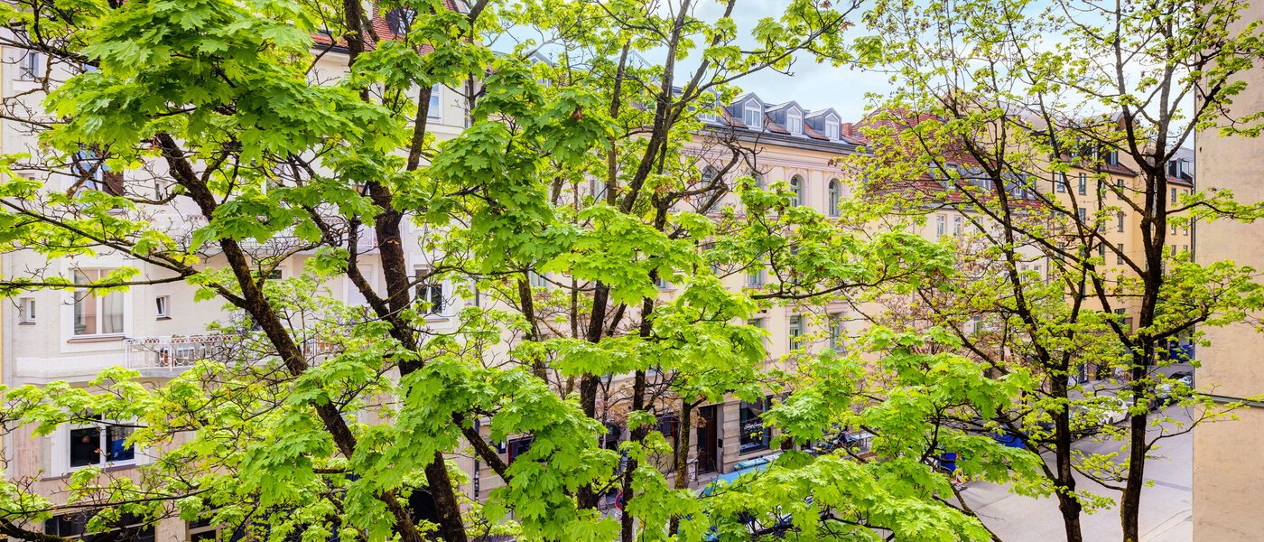 Επίπεδη München Maxvorstadt 02 Προβολή 14371