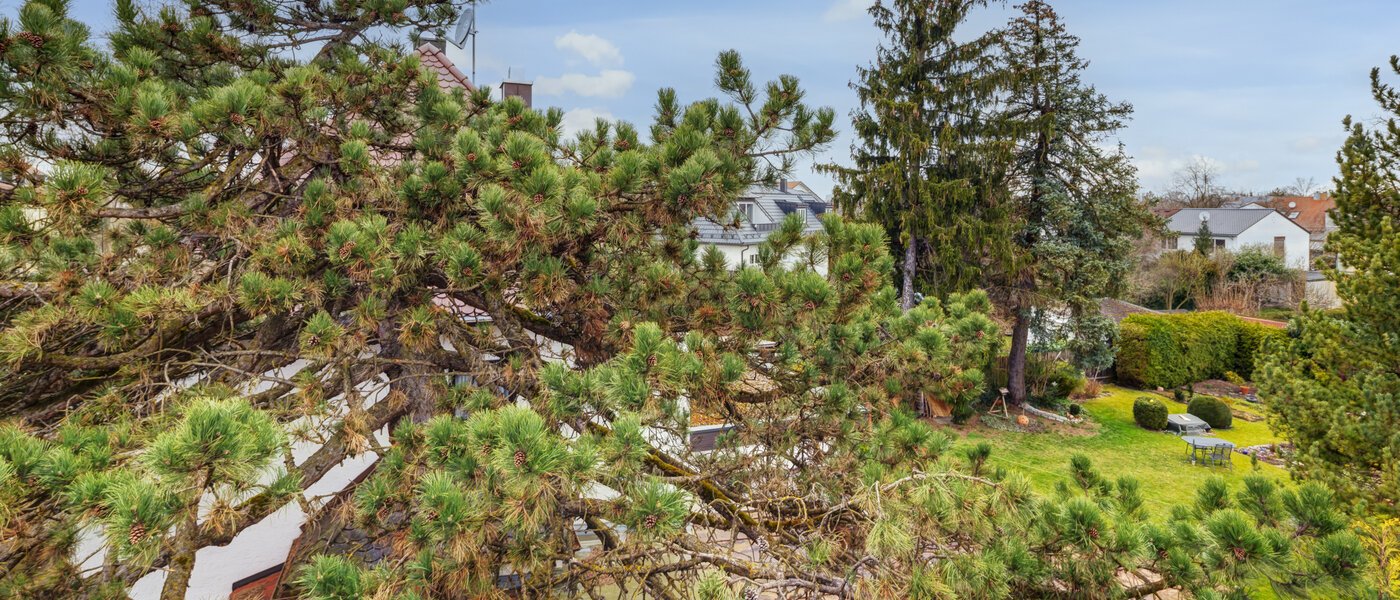 Önálló ház München Daglfing 03 A  megtekintése 14387