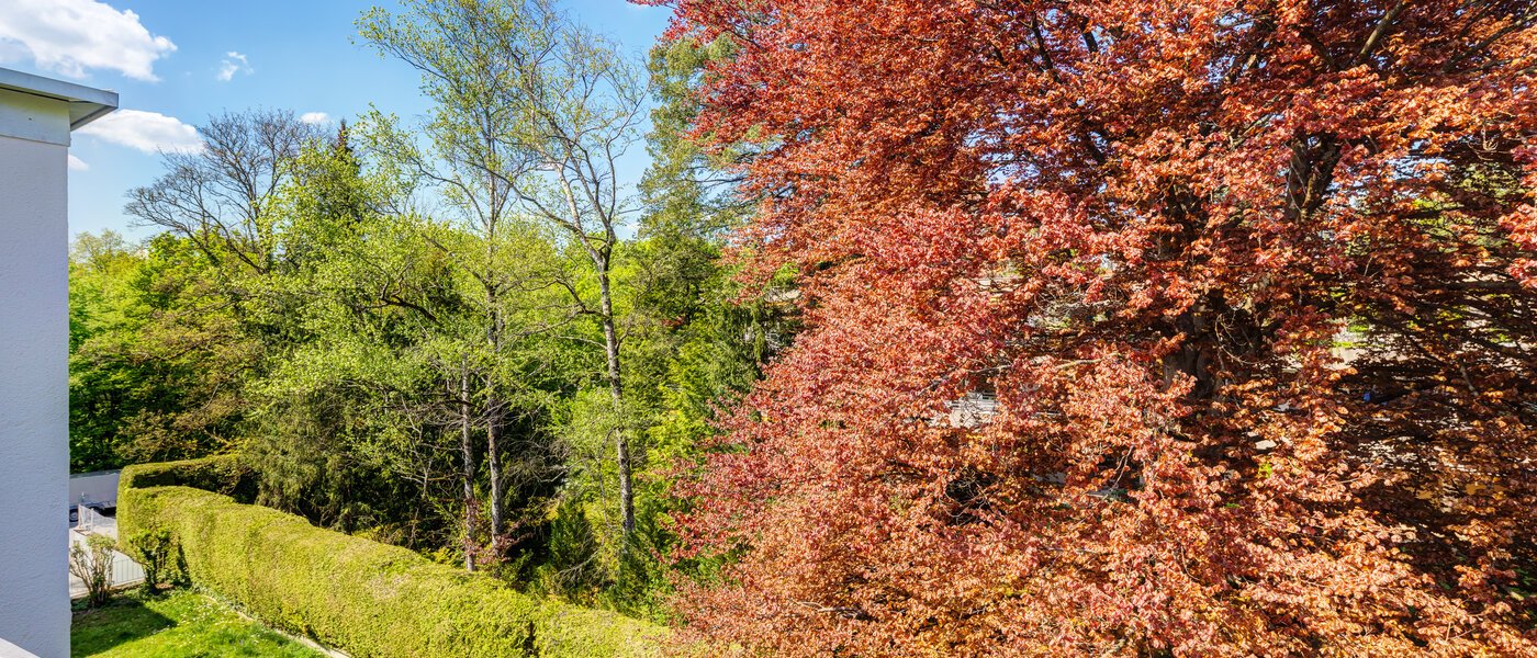 옥상 테라스 플랫 München Solln 03 보기 14396